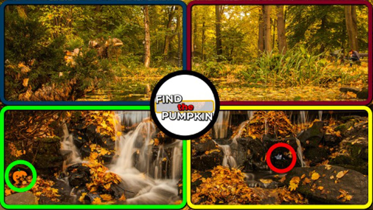 Find the Pumpkin - 4 Corners Game image number null